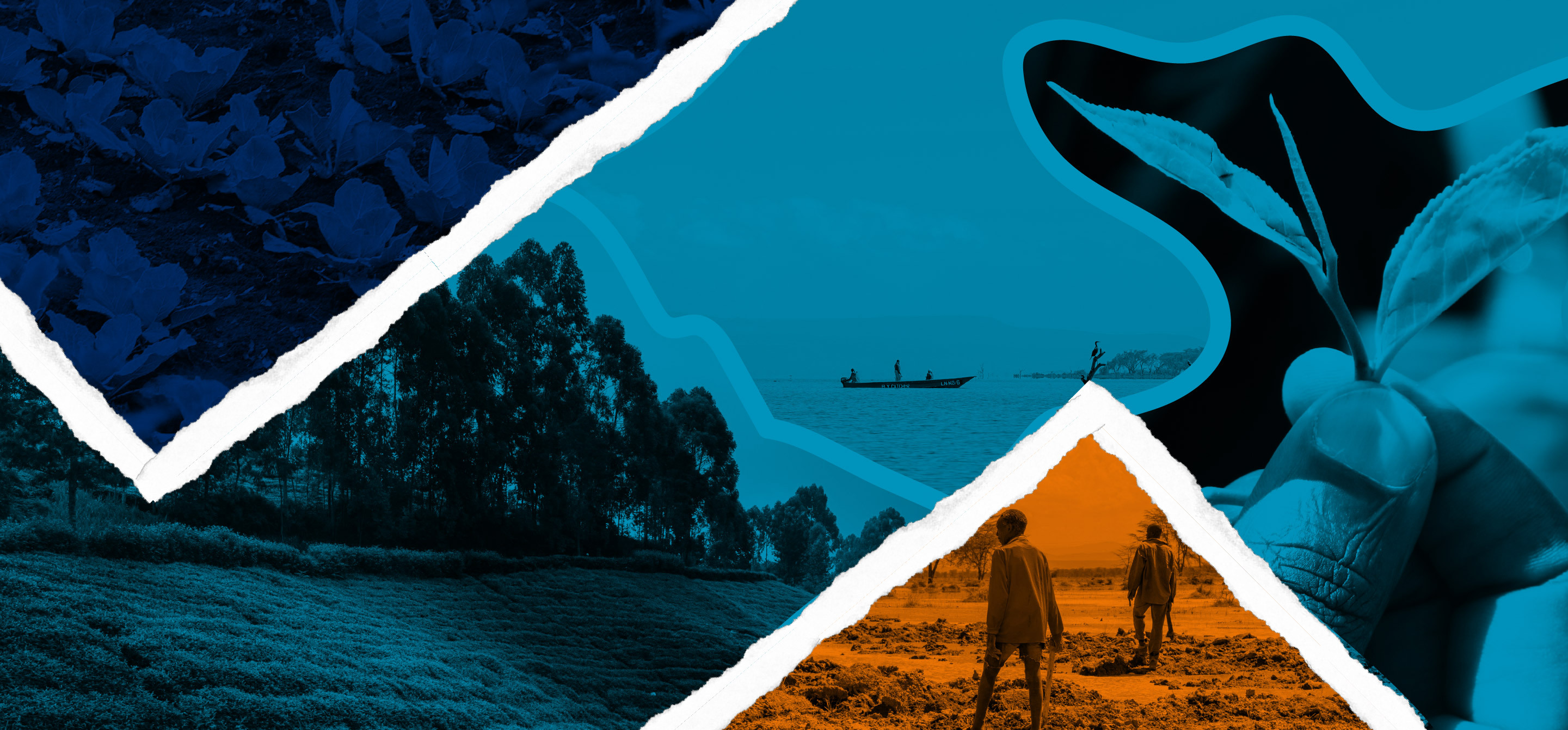 Accelerator For Ventures Serving Displaced People